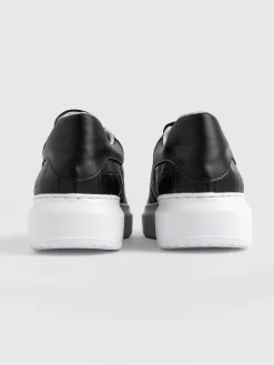 Fashion Saint and Sofia Hampstead Sneaker - Croc